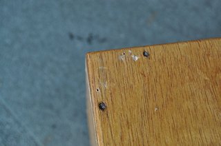 DSC_0004.JPG