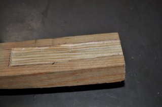 DSC_0010.JPG