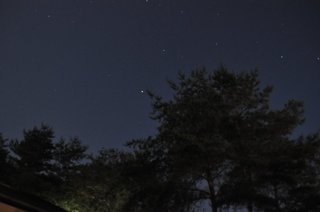 DSC_0238.JPG