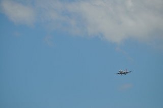 DSC_0389.JPG