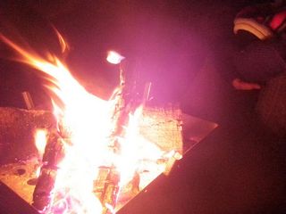 P1030230.JPG